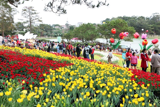 Tour du lịch ghép Đà Lạt khởi hành hàng ngày